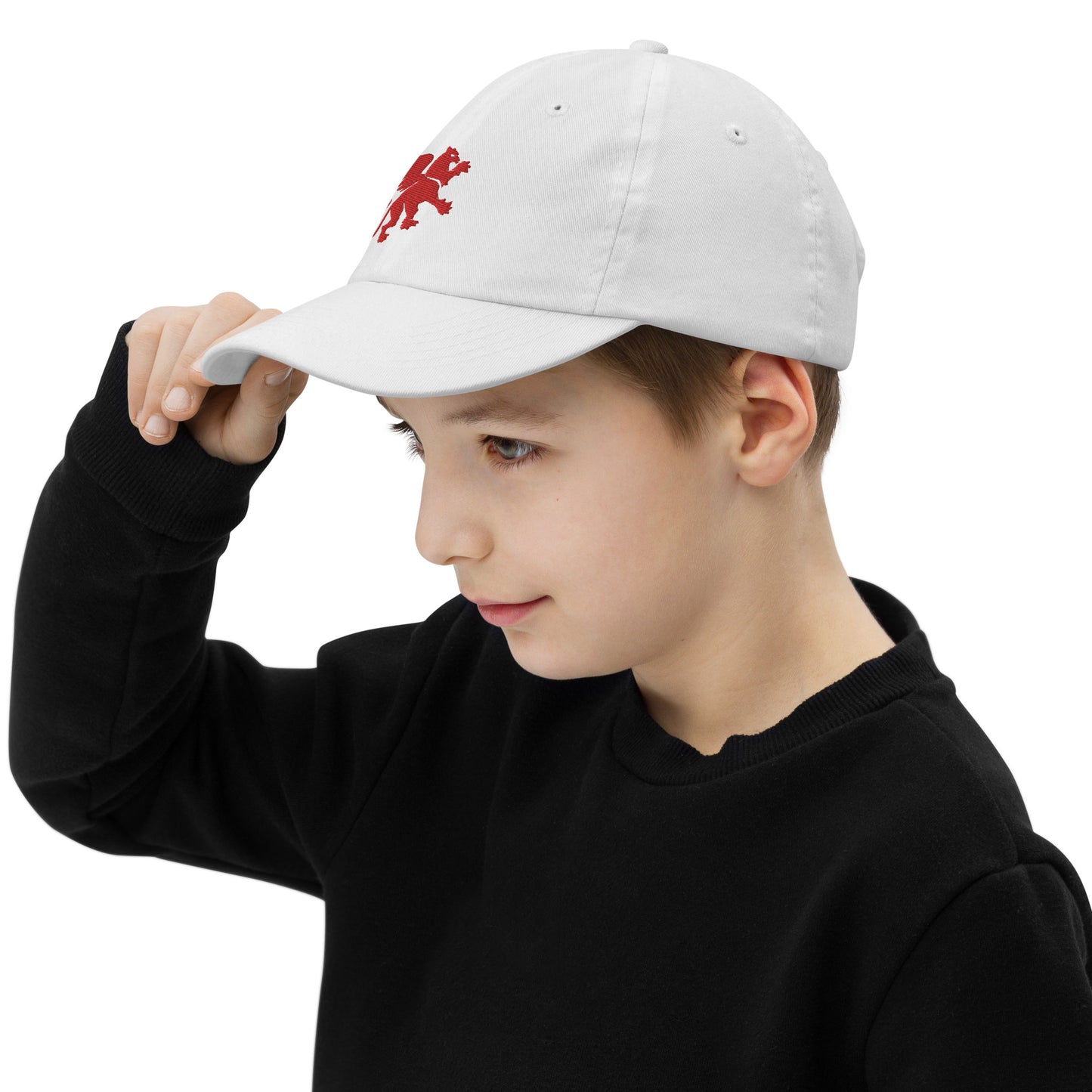 Red Embroidered Griffin Youth baseball cap